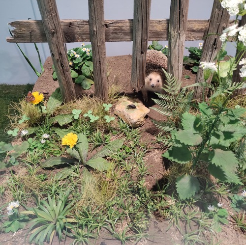 Landesverband Thüringen der Gartenfreunde e.V. meets Deutsches Gartenbaumuseum